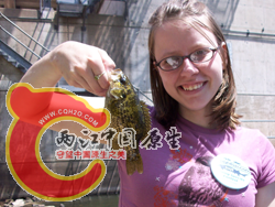 Rock Bass 1.png