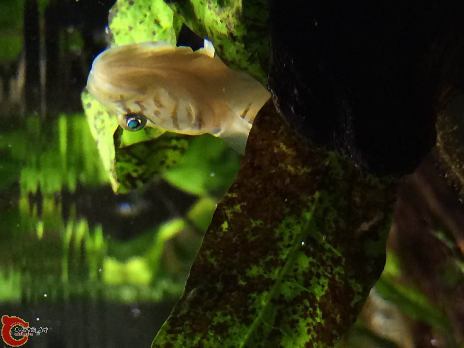 调整大小 IMG_0039.JPG