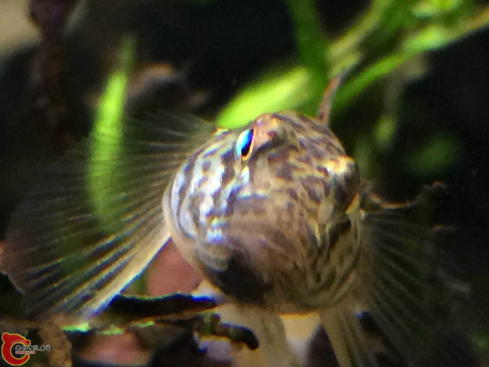 调整大小 IMG_0221.JPG