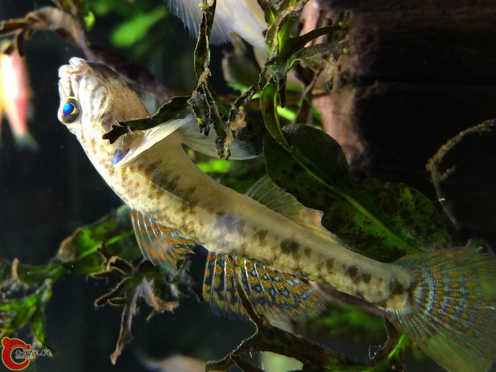 调整大小 IMG_0224.JPG