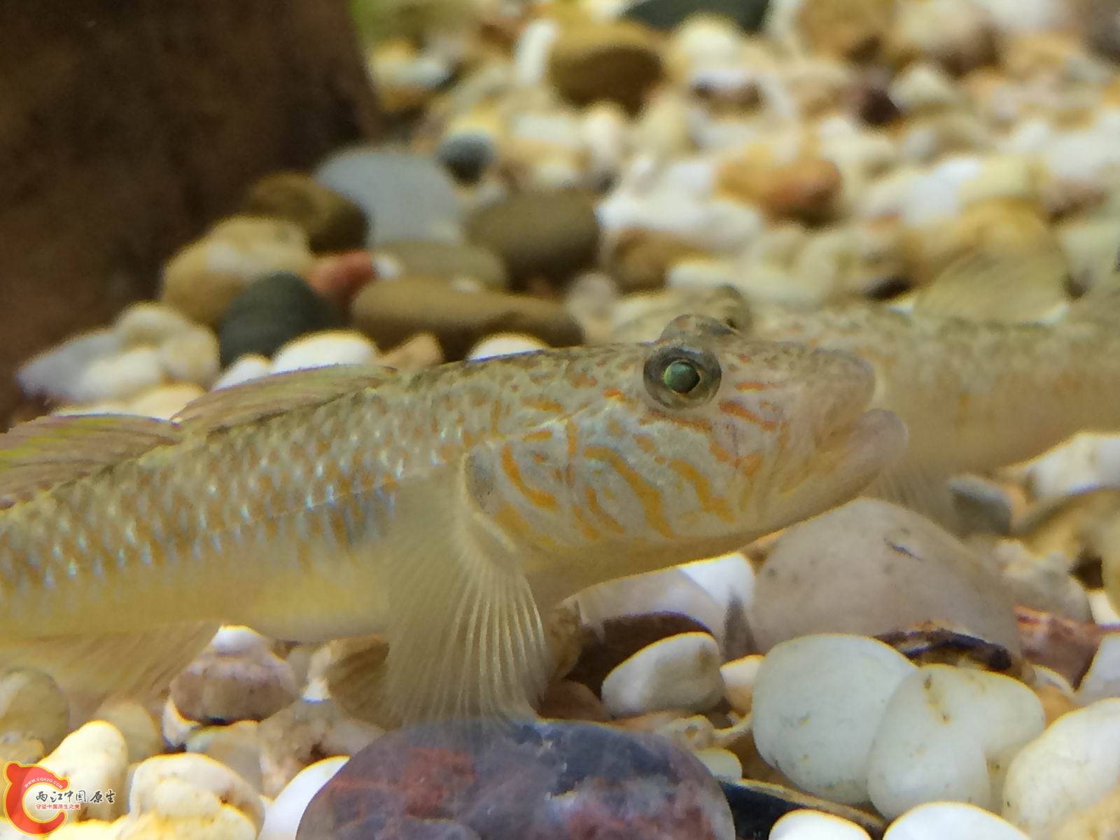 调整大小 IMG_0297.JPG