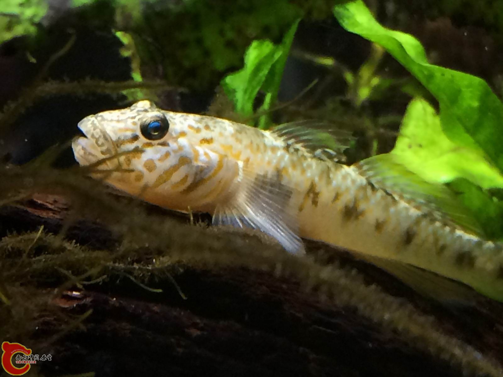 调整大小 IMG_0298.JPG