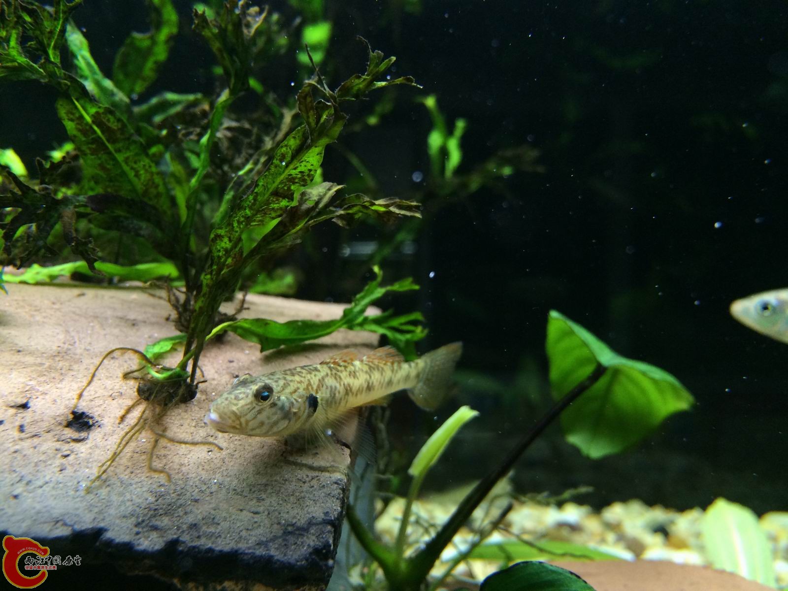 调整大小 IMG_0303.JPG