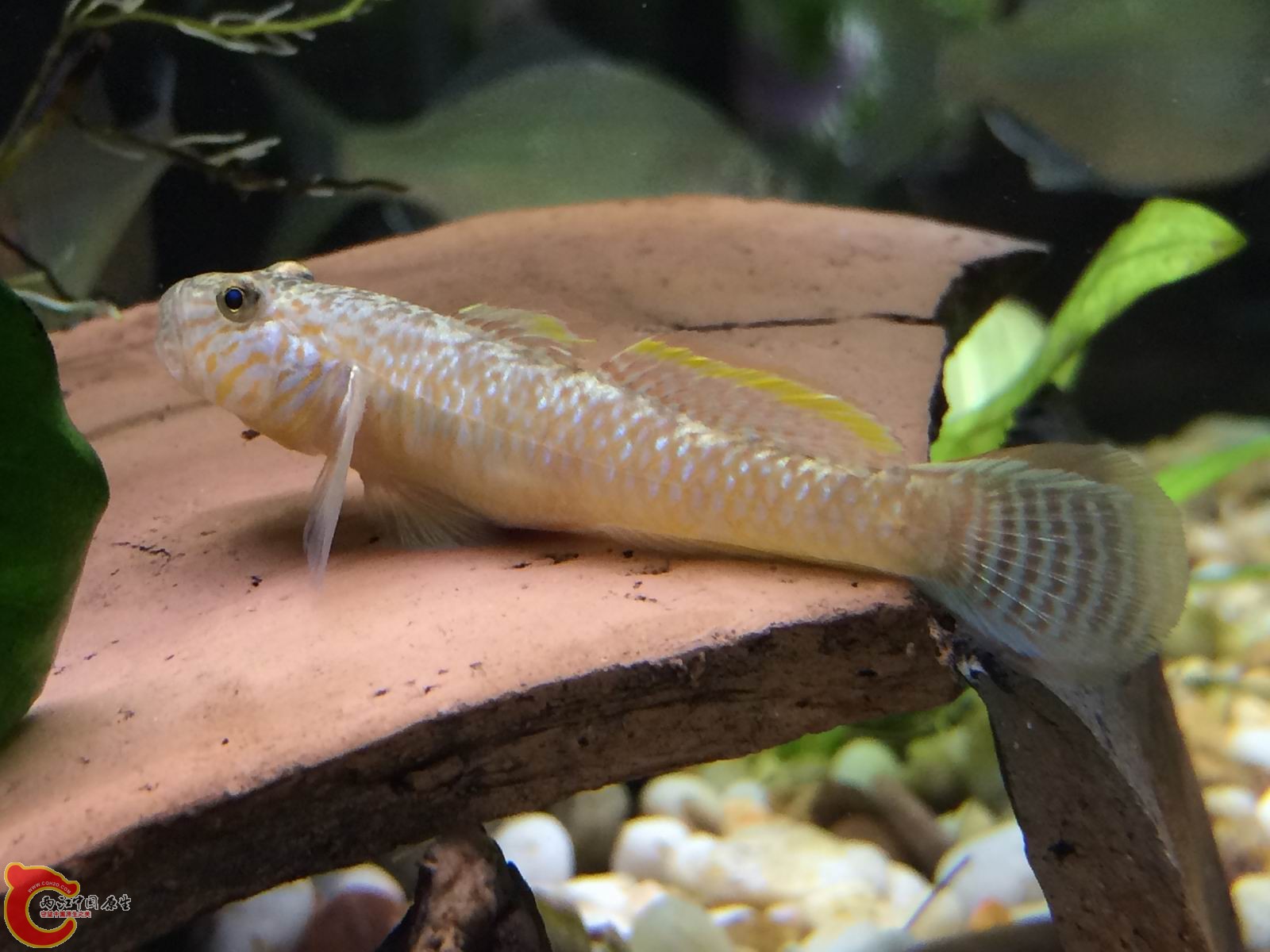 调整大小 IMG_0332.JPG