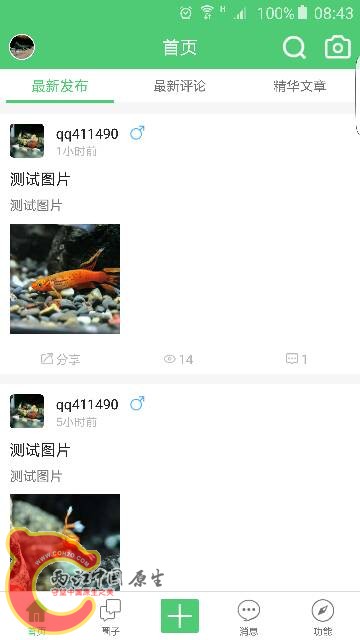 085713jy4x2byfgx8bh8g8.png