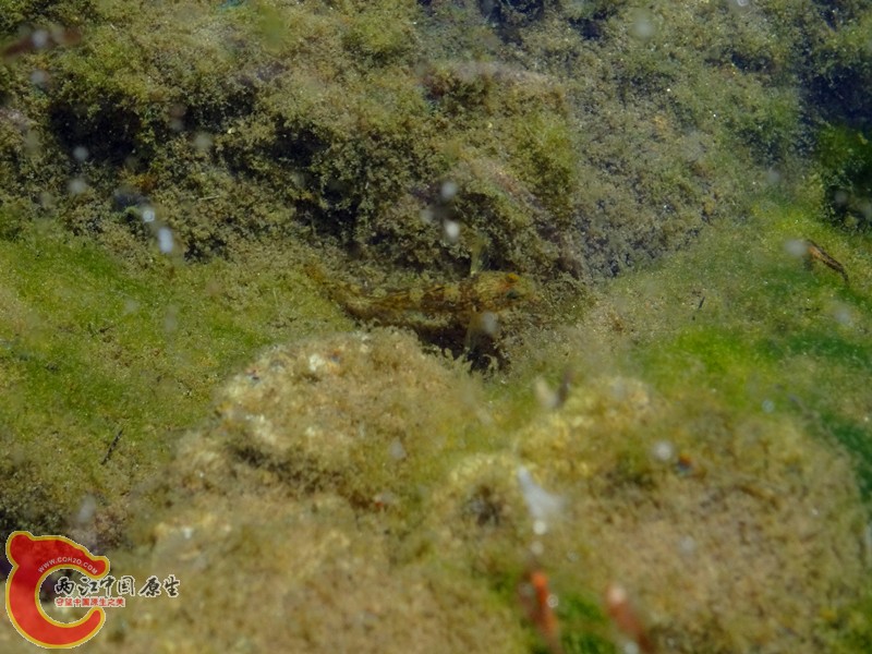 DSC04377_副本.jpg