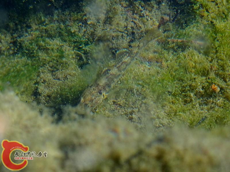 DSC04378_副本.jpg