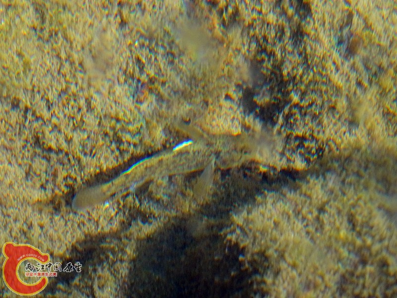 DSC04390_副本.jpg