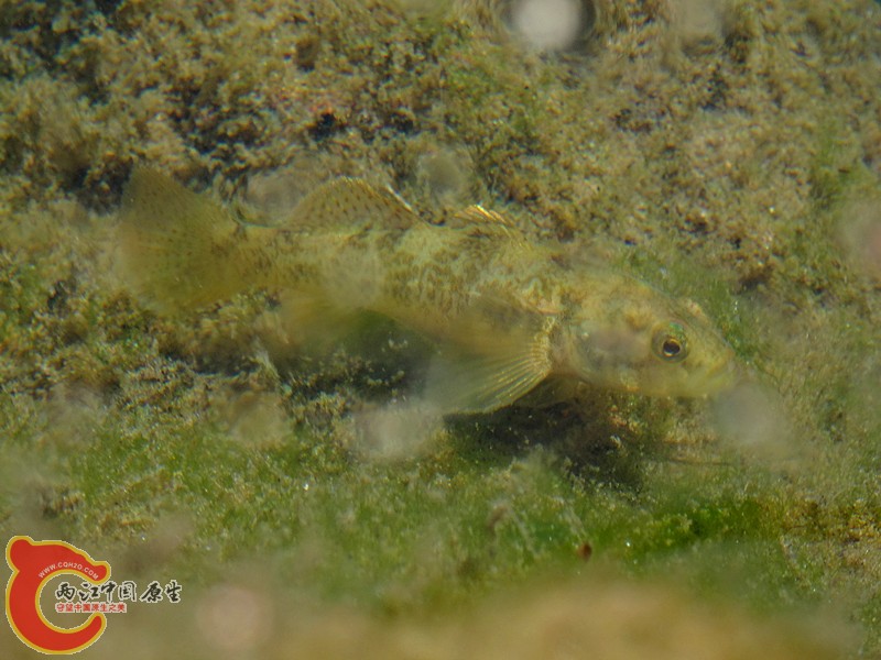 DSC04393_副本.jpg