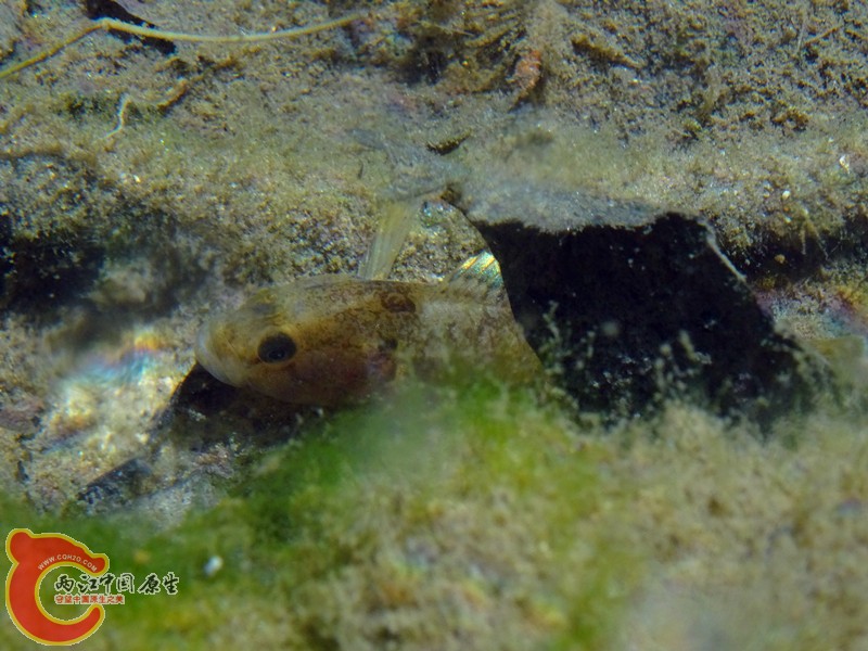 DSC04395_副本.jpg