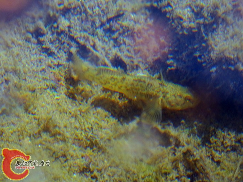 DSC04398_副本.jpg
