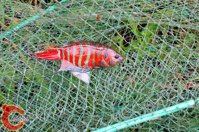 DSC02428.JPG