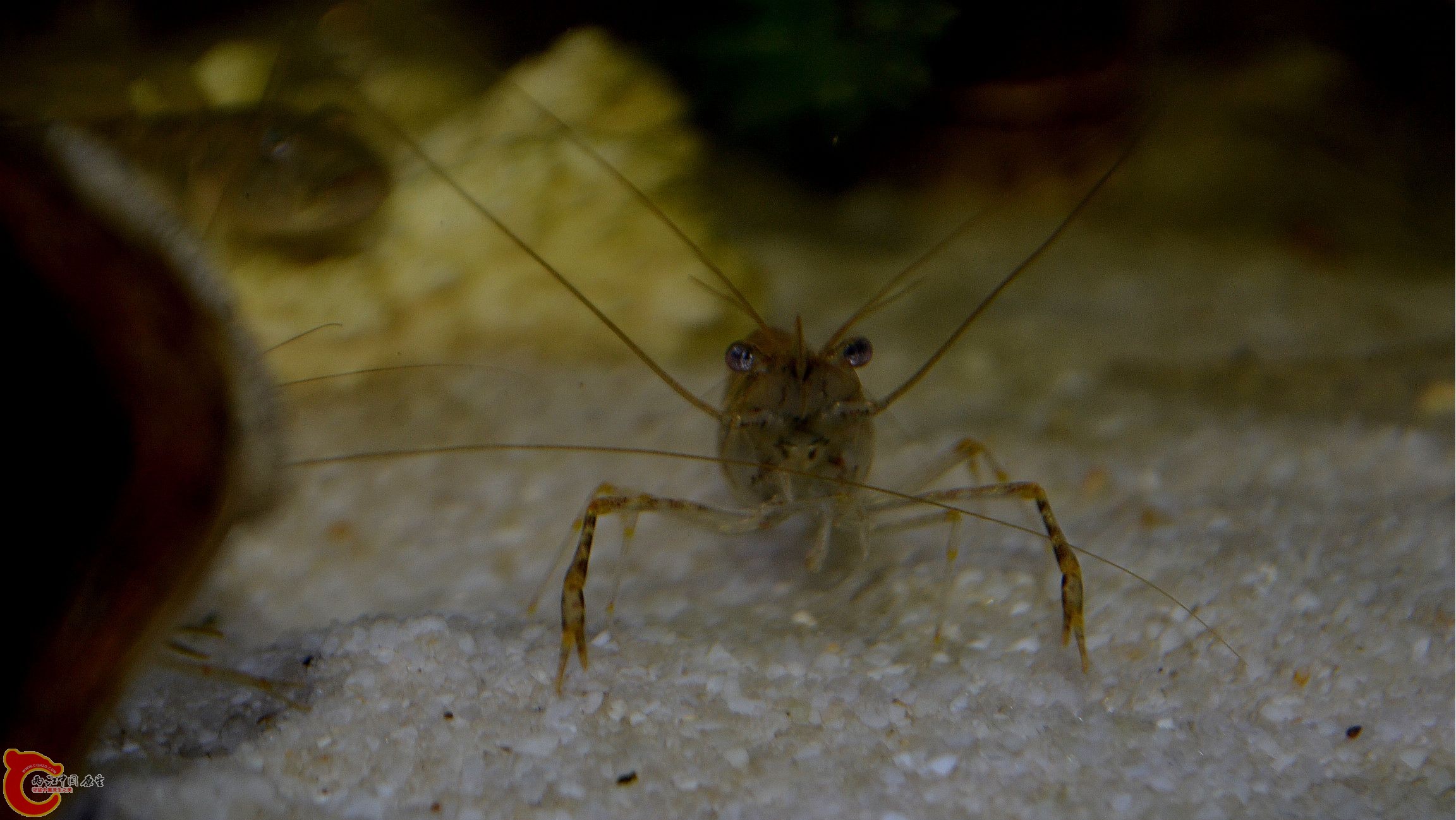 DSC_0083.JPG
