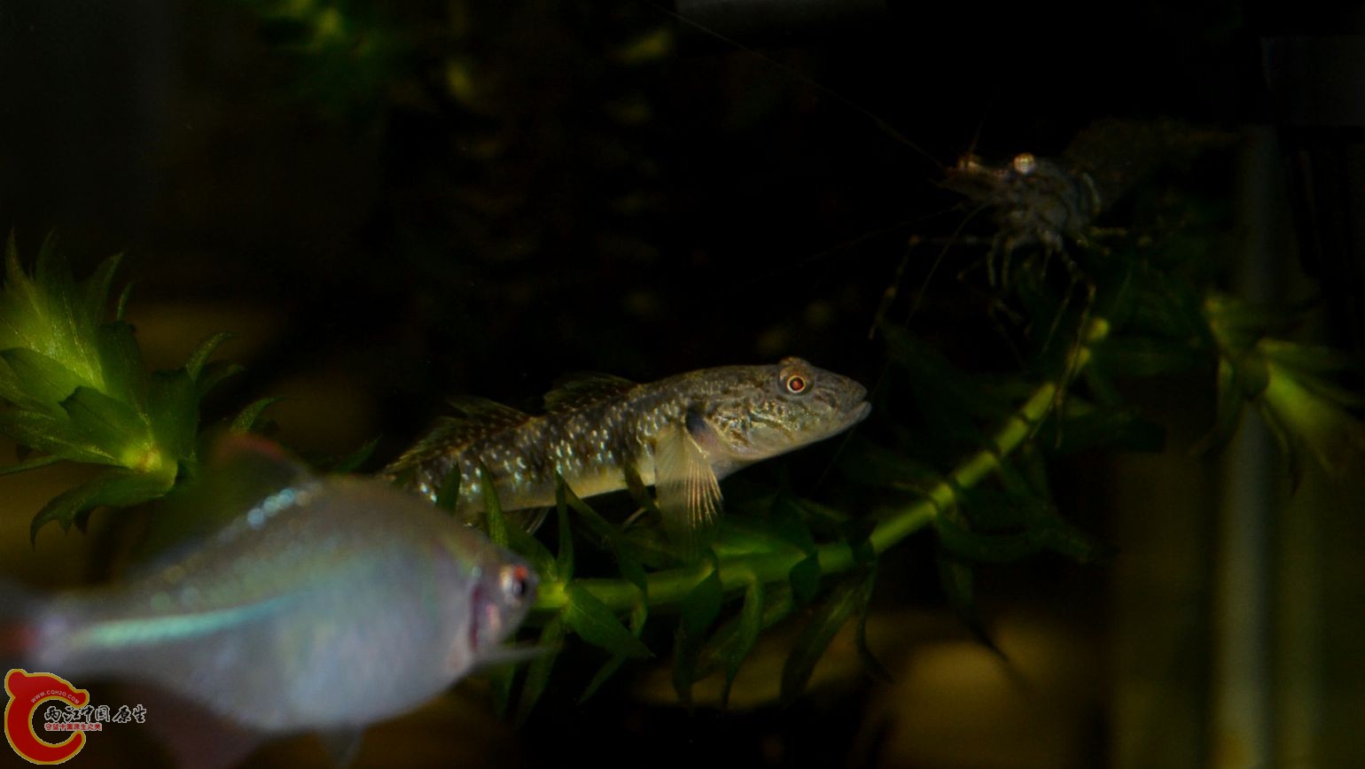 DSC_0324.JPG