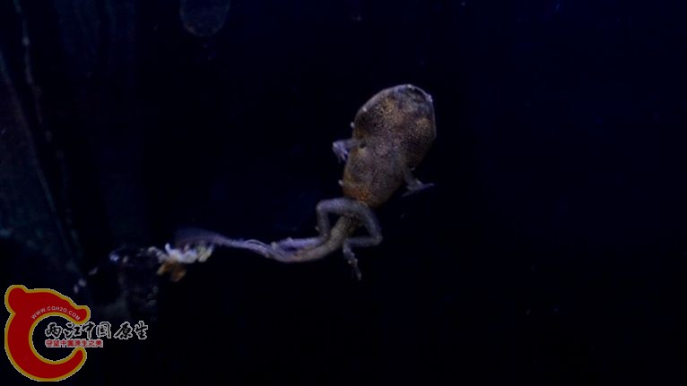 DSC_0346.JPG