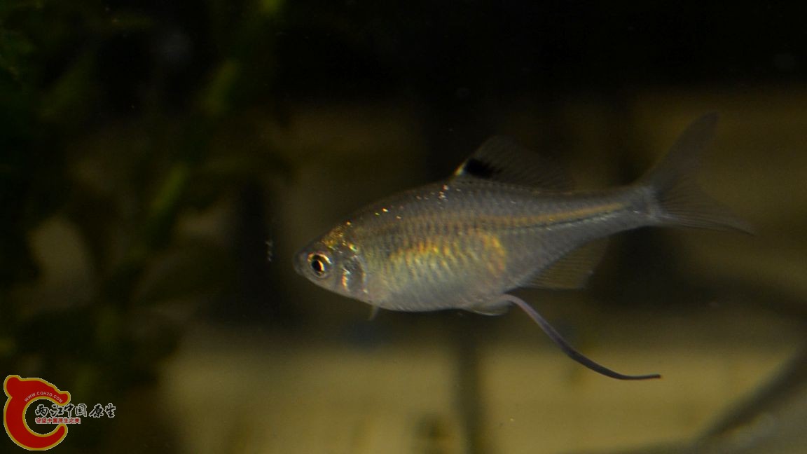 DSC_0364.JPG