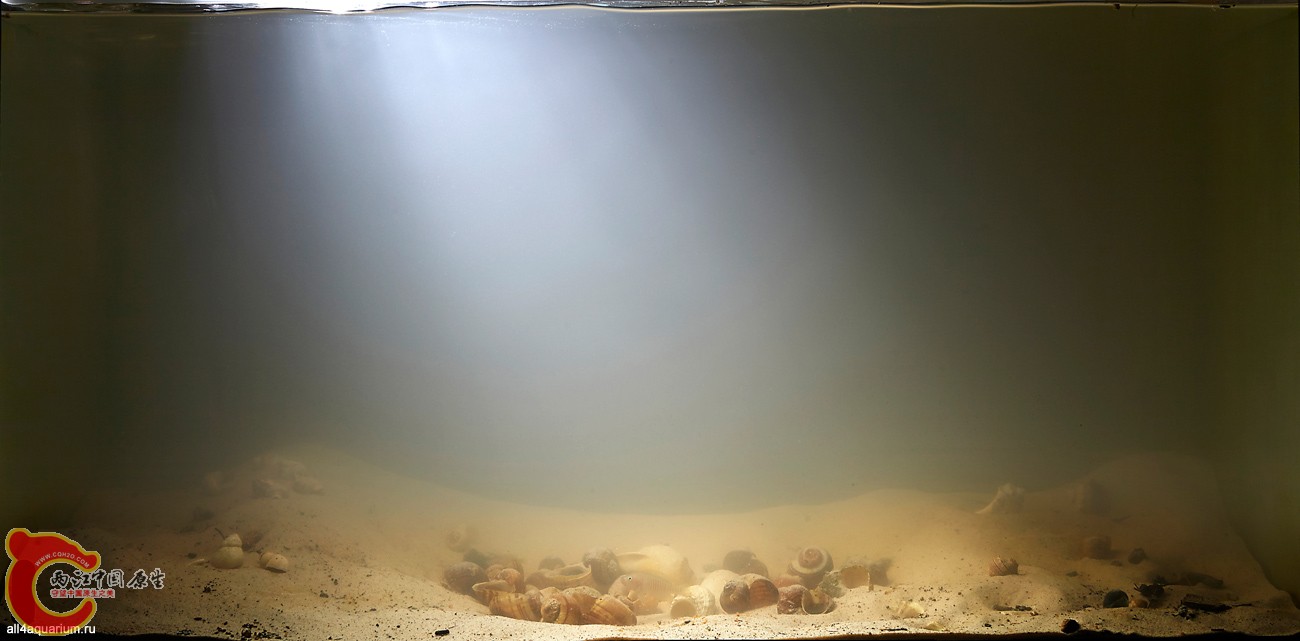 2015_biotope_aquarium_a_15_1.jpg