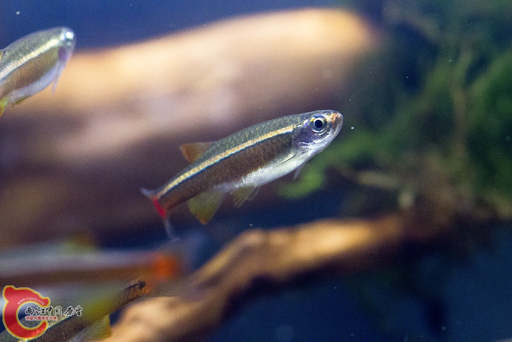 IMG_9960.jpg