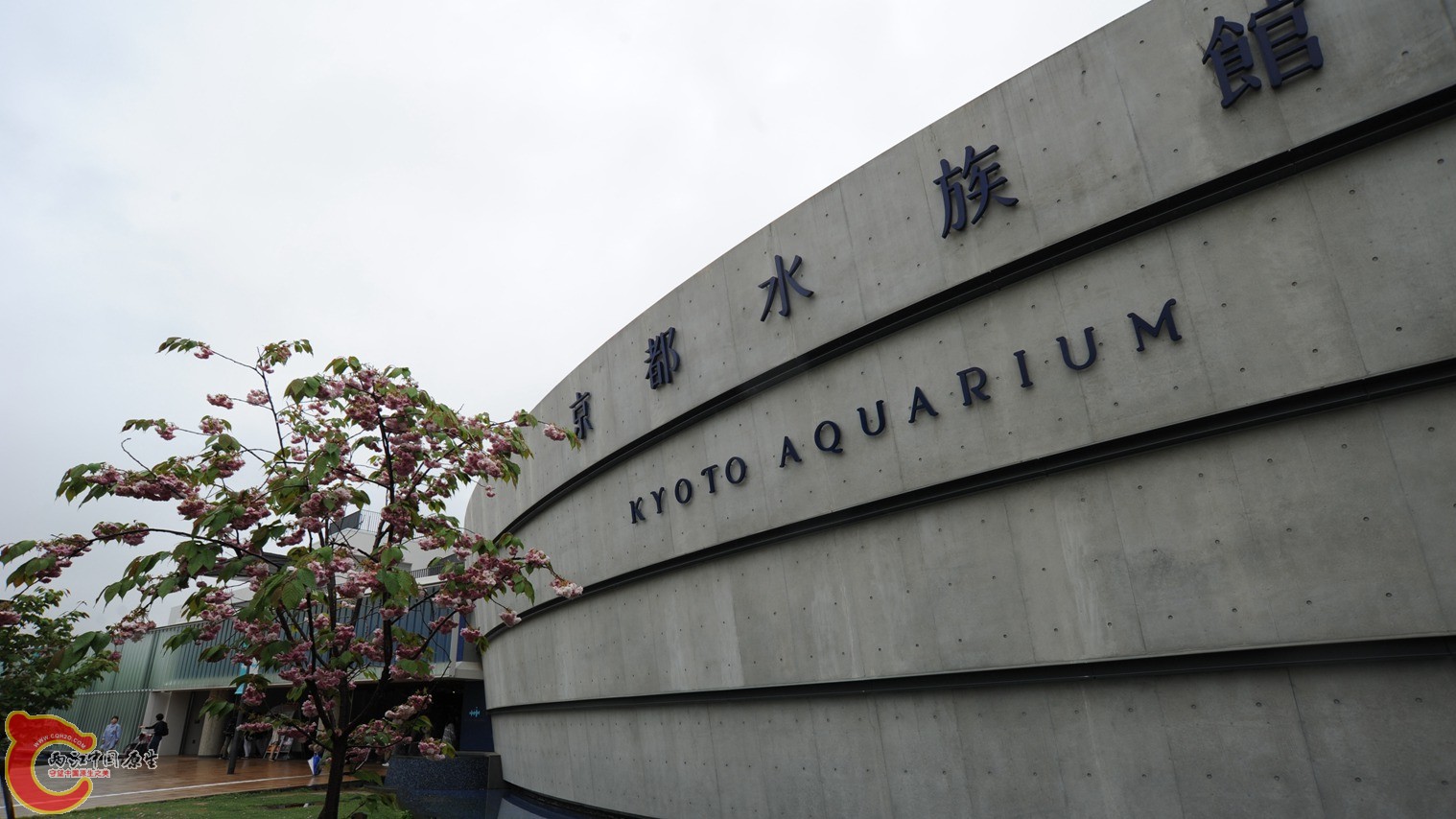 水族馆门口