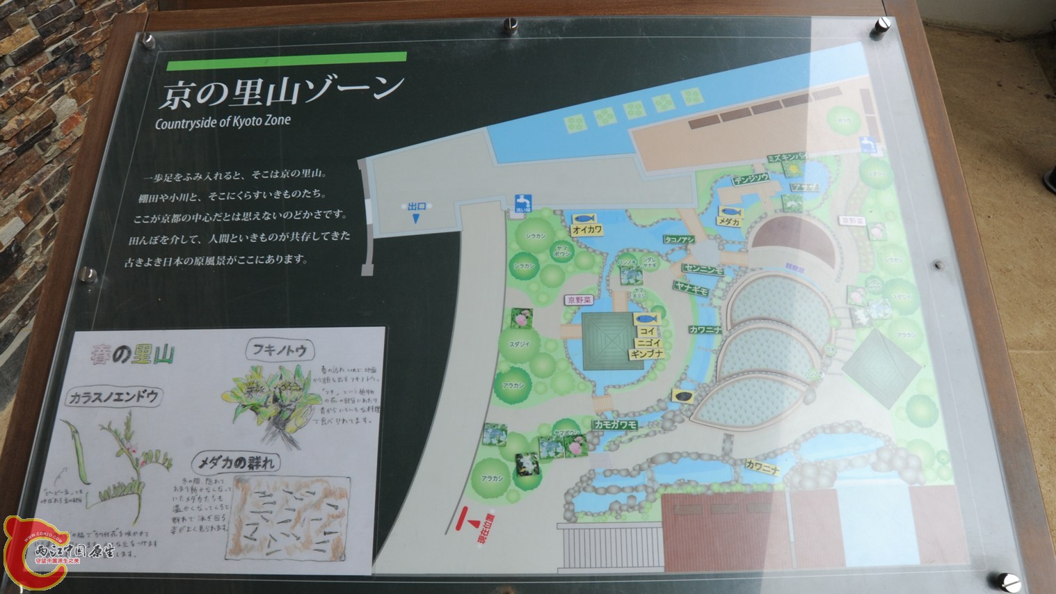 64.jpg