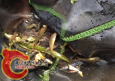 QQ图片20151013121051-2.jpg