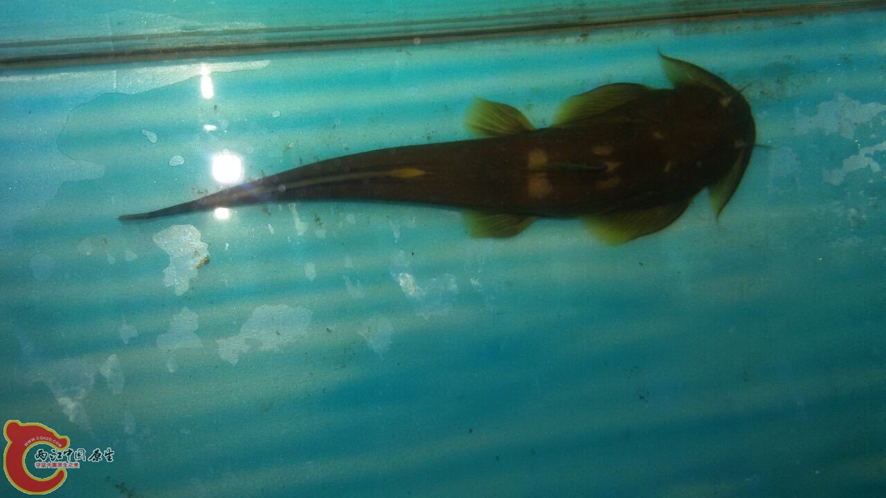 QQ图片20160503151112.jpg