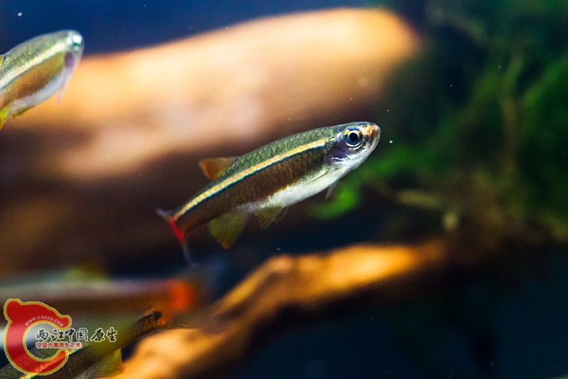 IMG_9960 副本.jpg