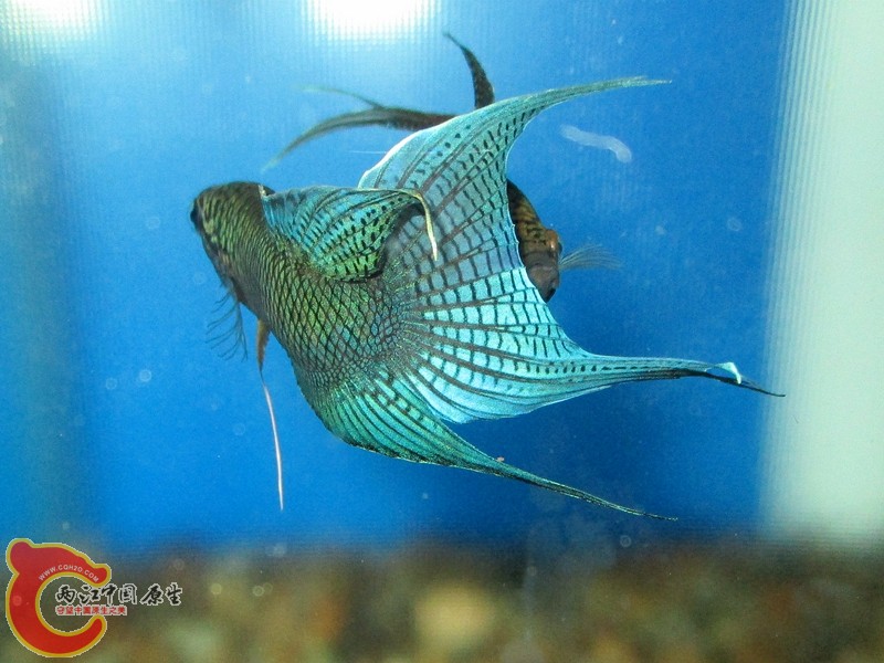 IMG_1443_副本.jpg