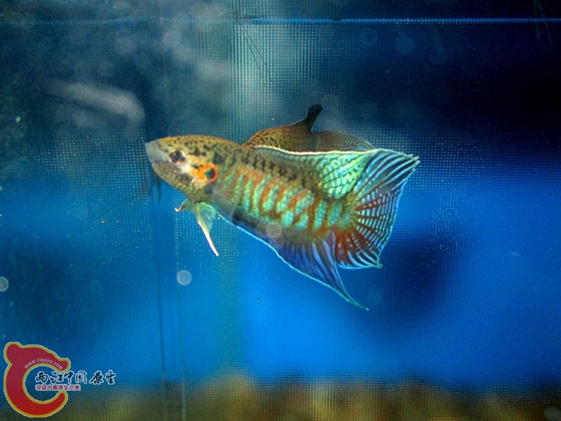 IMG_1400_副本.jpg