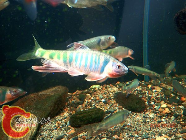 P5020611_副本_副本.jpg