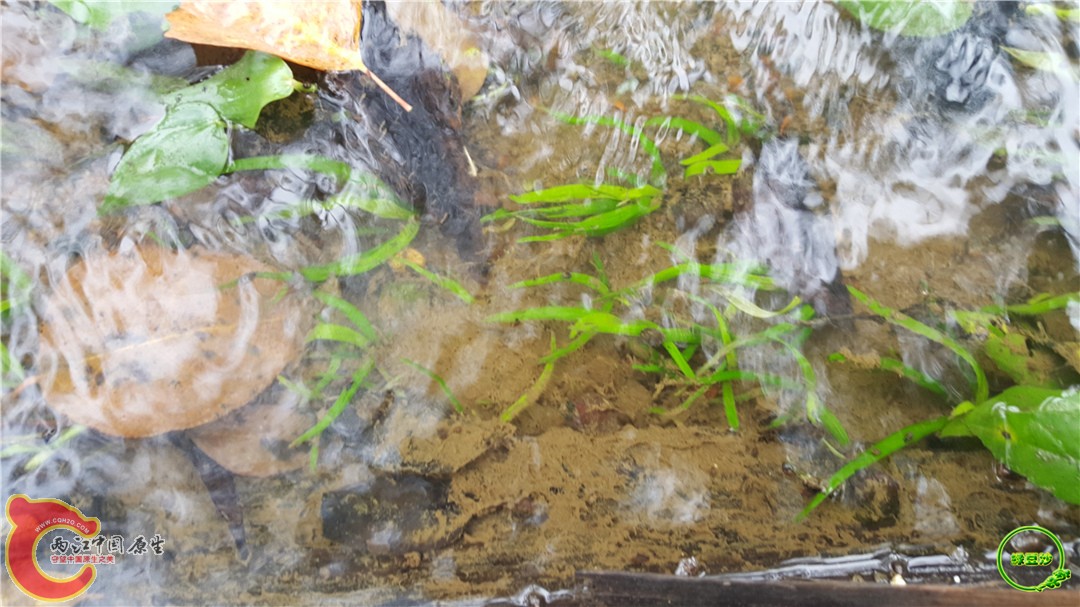 20160501_091935.jpg