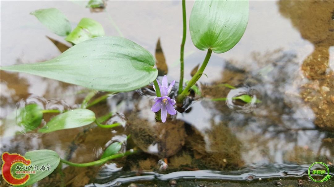 20160501_092058.jpg