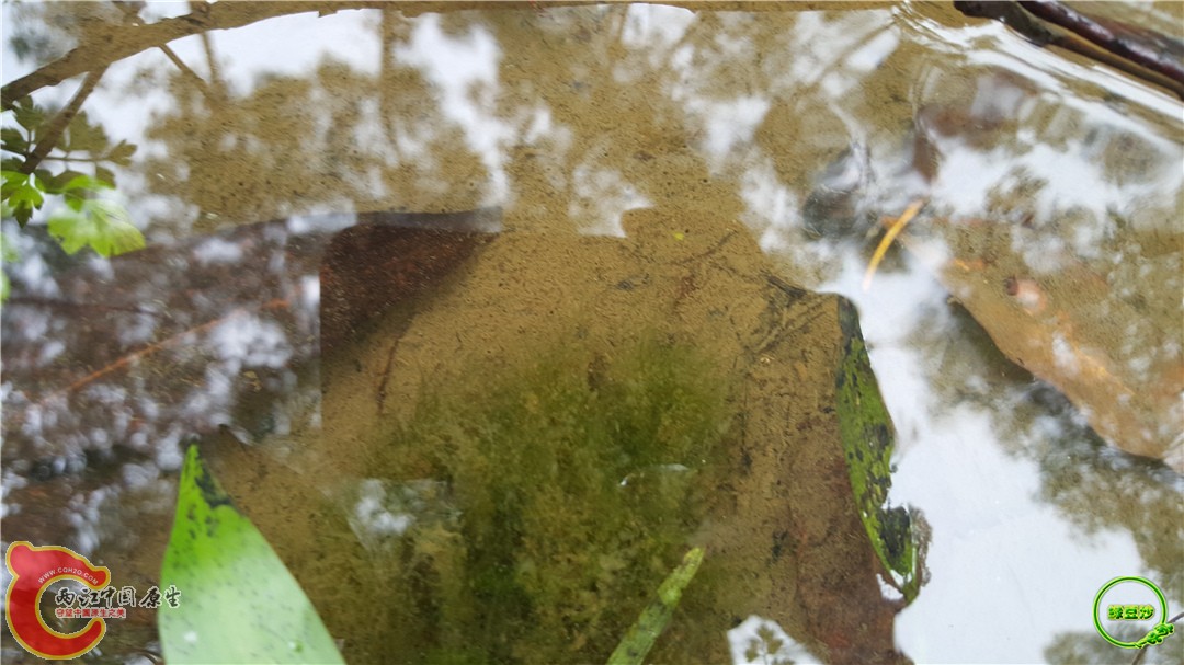 20160501_093338.jpg