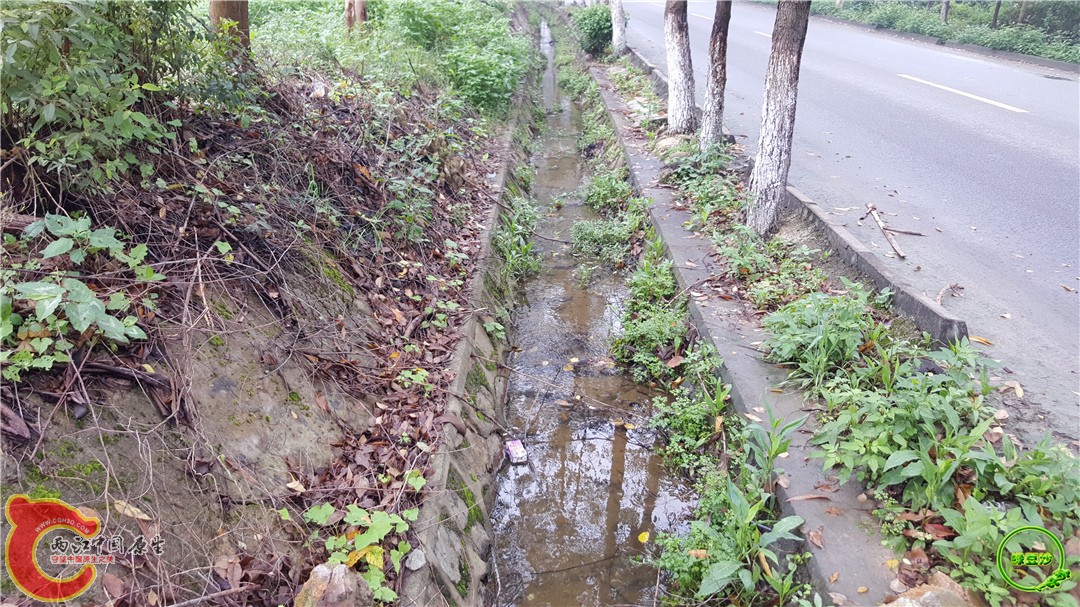 20160501_094947.jpg