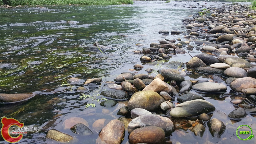 20160501_101237~01.jpg
