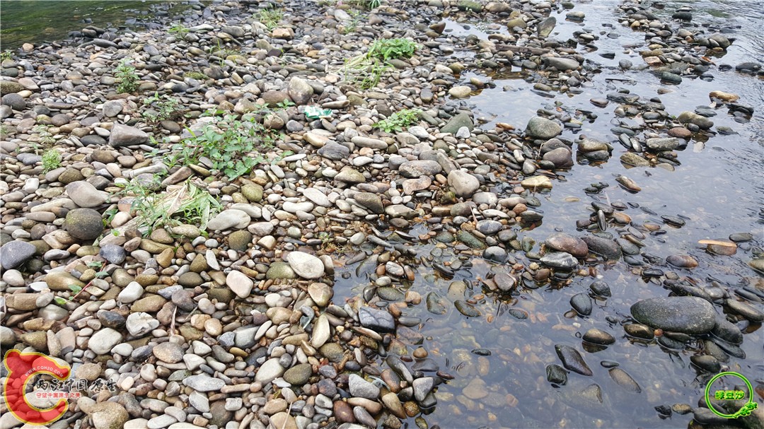 20160501_110130.jpg