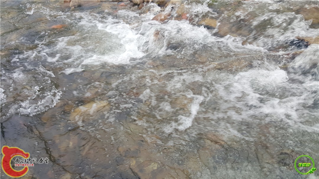 20160501_132549.jpg