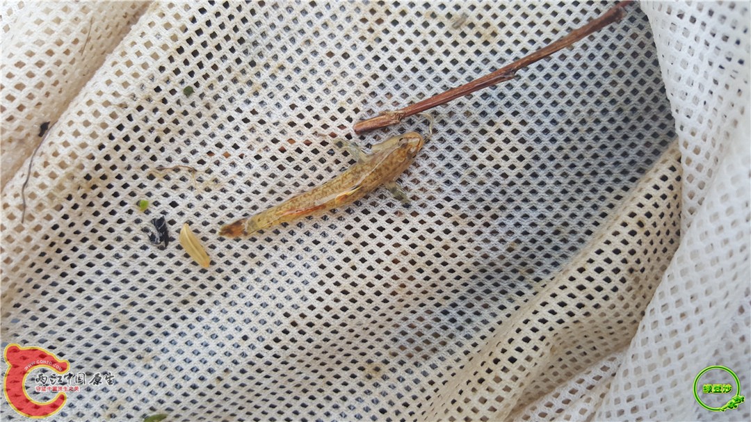 20160501_133312_009.jpg