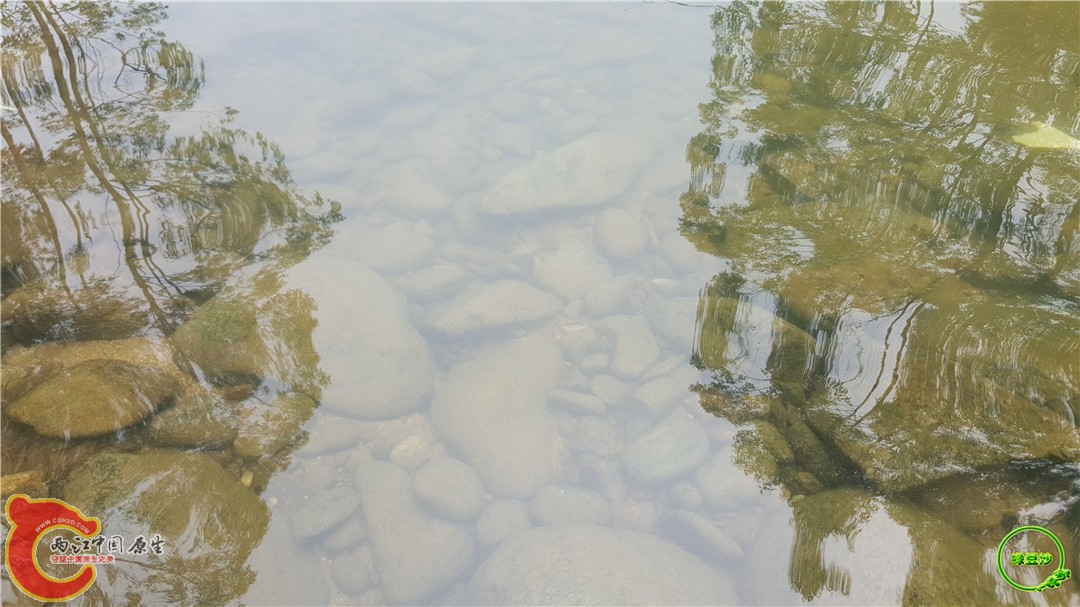 20160501_135758.jpg