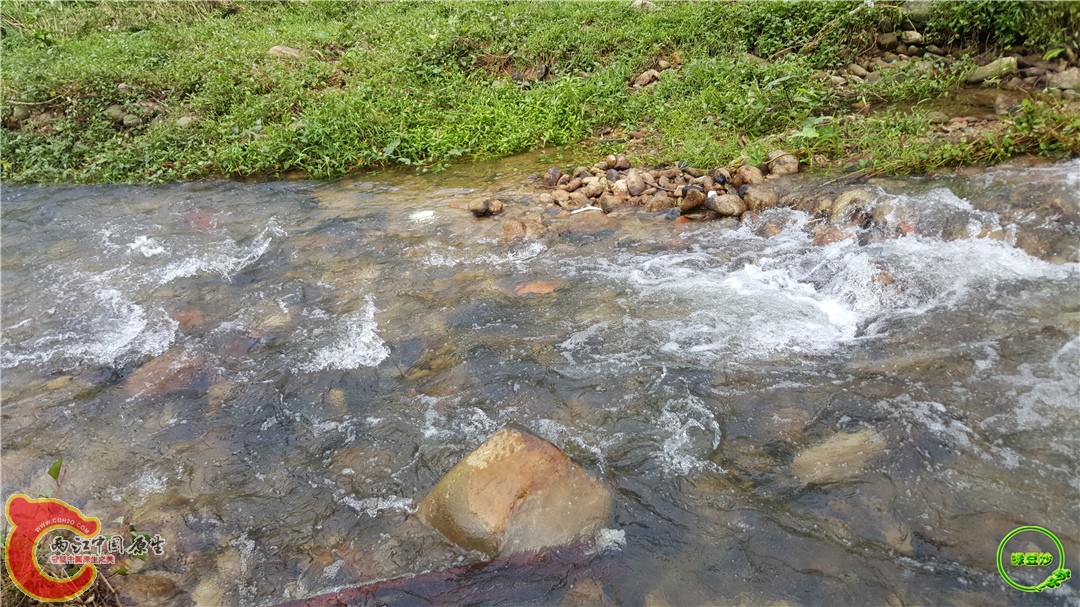 20160501_145614.jpg