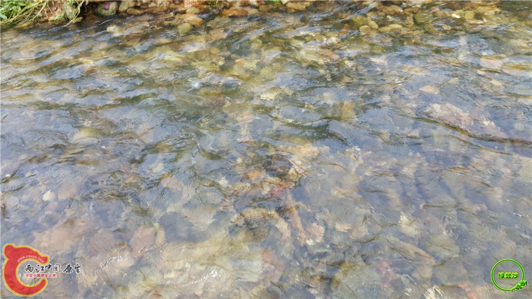 20160501_150129.jpg