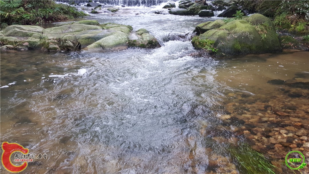 20160501_162041.jpg