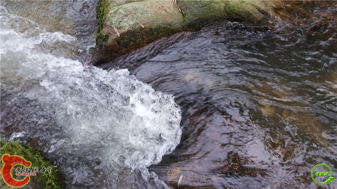 20160501_162314.jpg