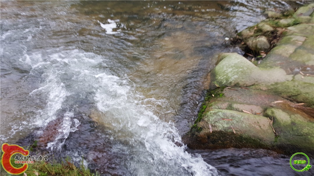 20160501_162320.jpg