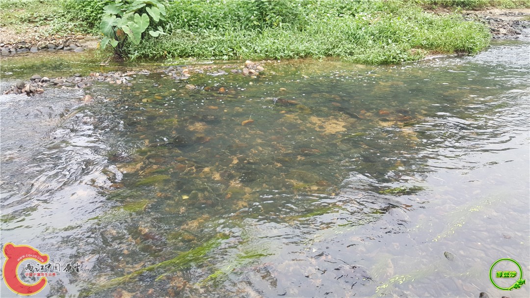20160501_110150.jpg