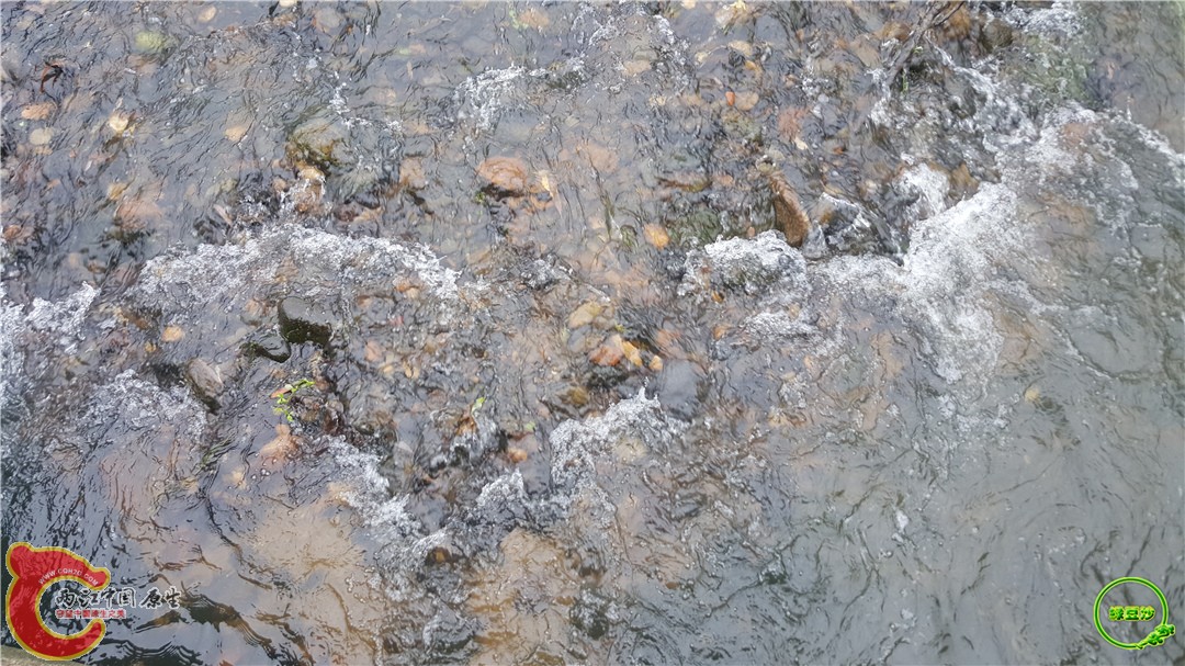20160501_100553.jpg