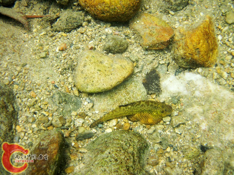 IMG_2080.jpg