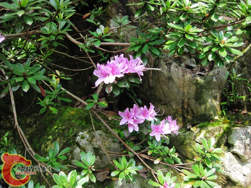 IMG_2144.jpg