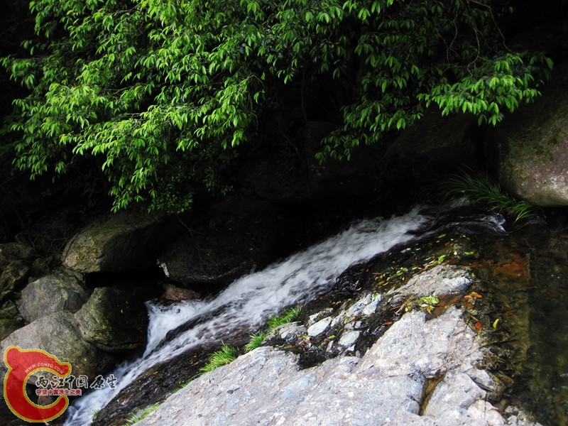 IMG_2282.jpg