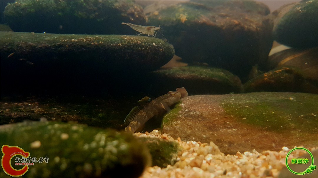 2016-05-02 15.10.20.jpg